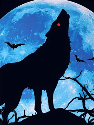 亲情迷局又名人间经纬